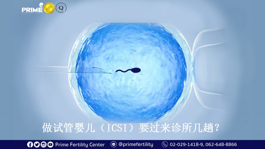 How often do you need to visit the clinic during your ICSI treatment, ทำ ICSI ต้องเดินทางมากี่ครั้ง,做试管婴儿（ICSI）要过来诊所几趟