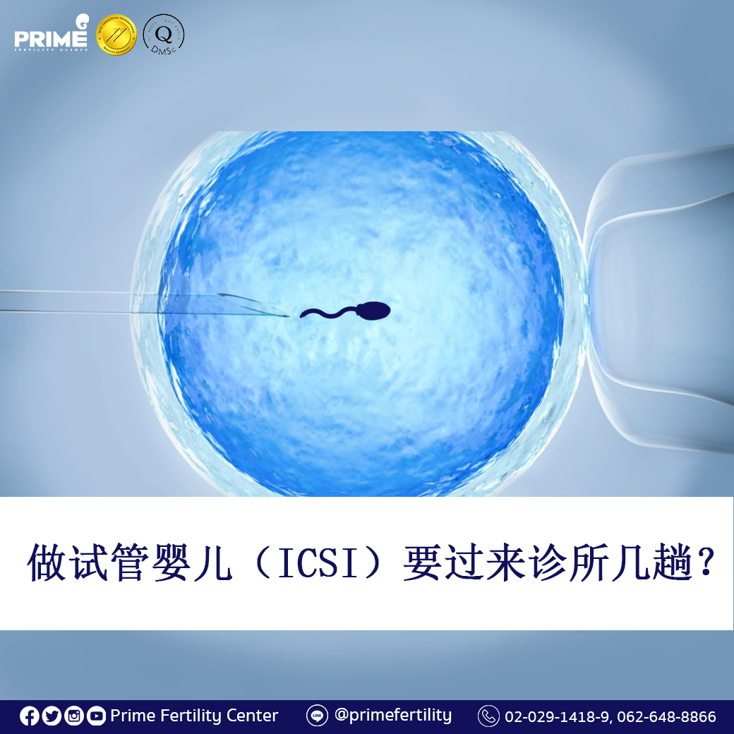 ทำ ICSI ต้องเดินทางมากี่ครั้ง Chi