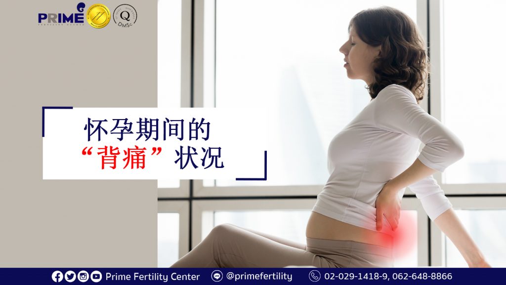 Back pain during pregnancy,อาการปวดหลังช่วงตั้งครรภ์,怀孕期间的背痛状况