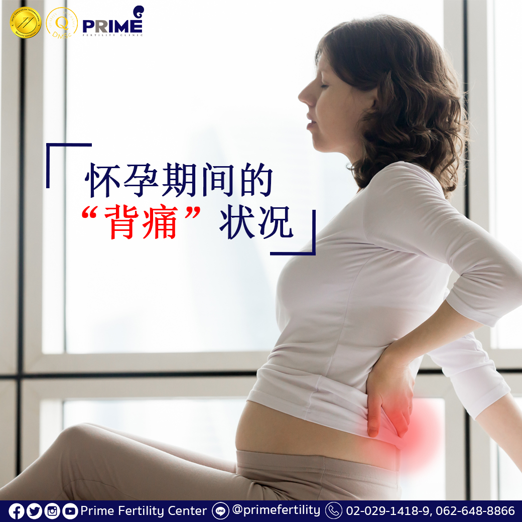 อาการปวดหลังช่วงตั้งครรภ์ Chi
