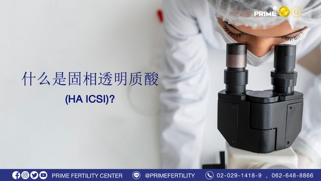 什么是固相透明质酸 HA ICSI
