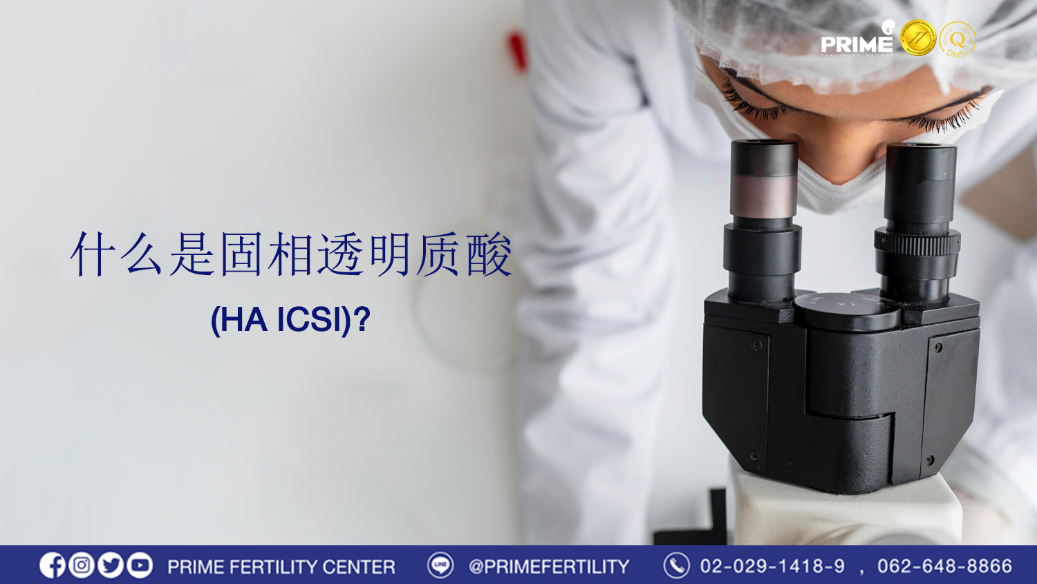 什么是固相透明质酸 HA ICSI