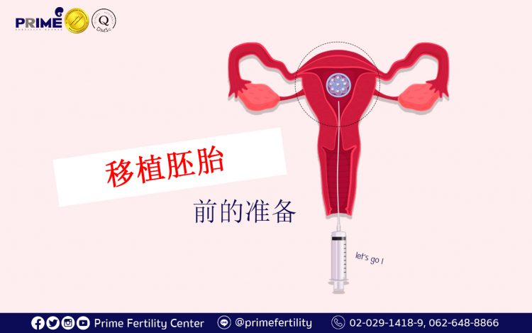 Preparation for Embryo Transfer,การเตรียมตัวก่อนย้ายตัวอ่อนเข้าสู่โพรงมดลูก,移植胚胎前的准备