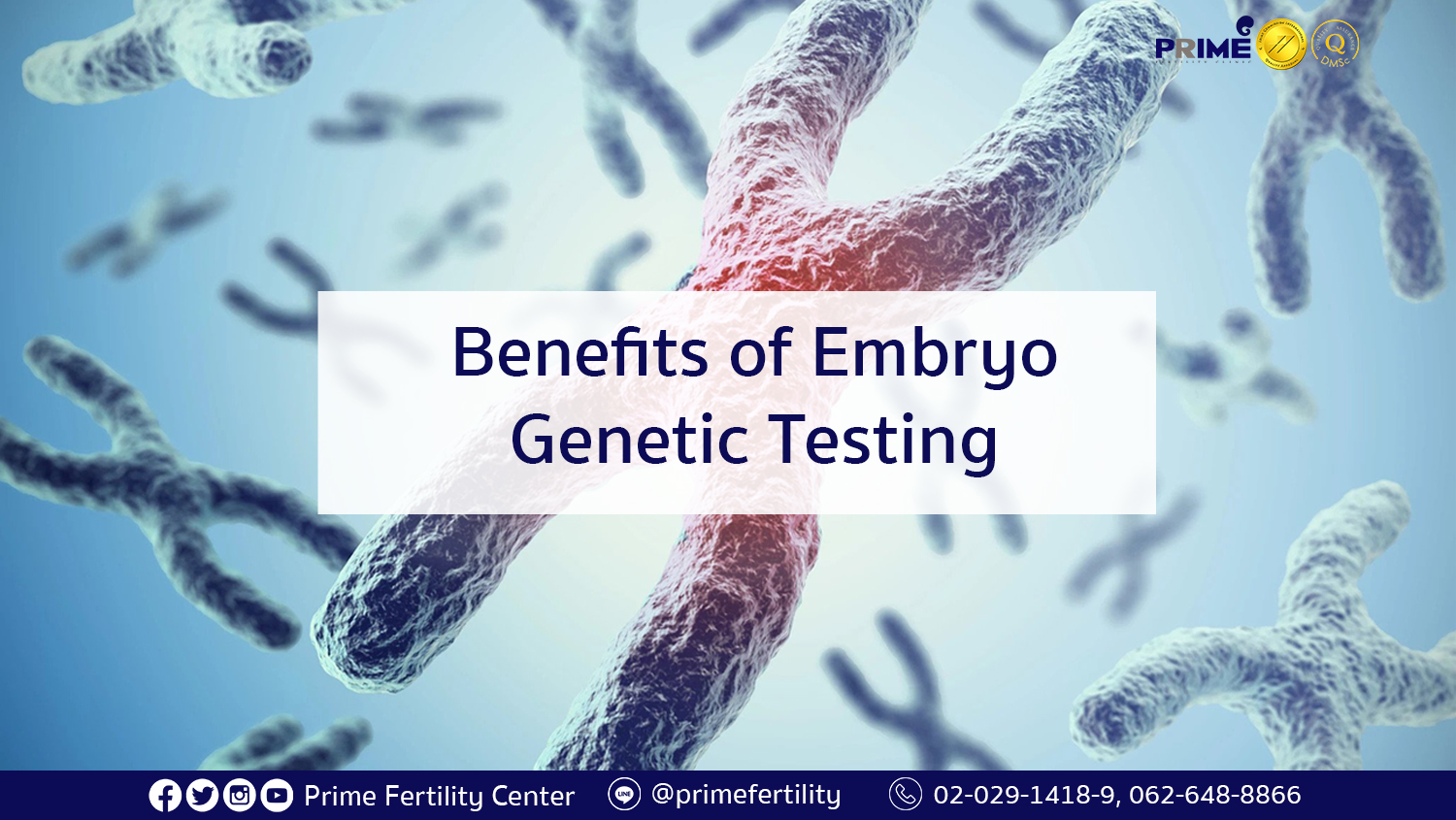 Benefits of Embryo Genetic Testing