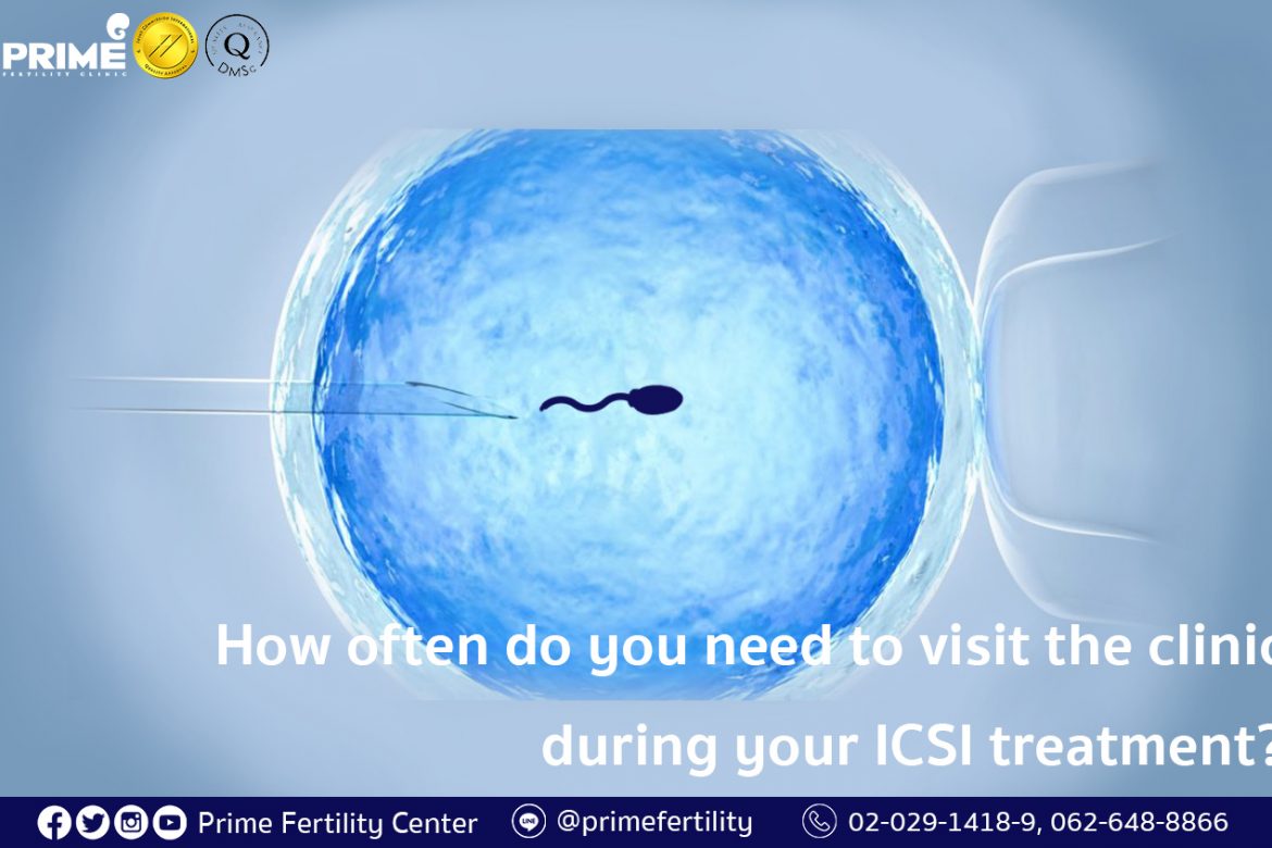 How often do you need to visit the clinic during your ICSI treatment, ทำ ICSI ต้องเดินทางมากี่ครั้ง,做试管婴儿（ICSI）要过来诊所几趟