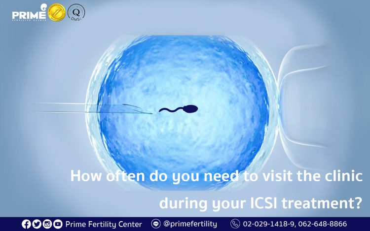 How often do you need to visit the clinic during your ICSI treatment, ทำ ICSI ต้องเดินทางมากี่ครั้ง,做试管婴儿（ICSI）要过来诊所几趟