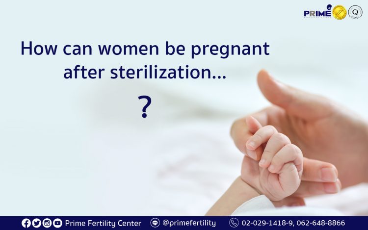 sterilization, เป็นหมัน, ทำหมัน