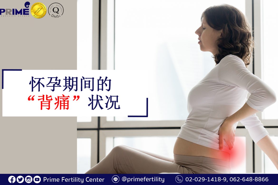 Back pain during pregnancy,อาการปวดหลังช่วงตั้งครรภ์,怀孕期间的背痛状况