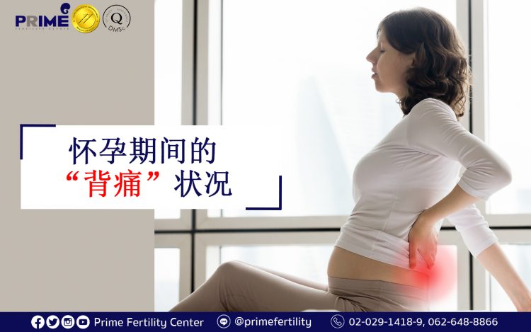 Back pain during pregnancy,อาการปวดหลังช่วงตั้งครรภ์,怀孕期间的背痛状况