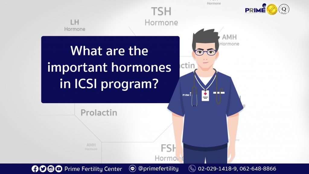 做试管婴儿的主要荷尔蒙,What are the important hormones in ICSI program,ฮอร์โมนที่สำคัญในการทำ ICSI มีอะไรบ้าง
