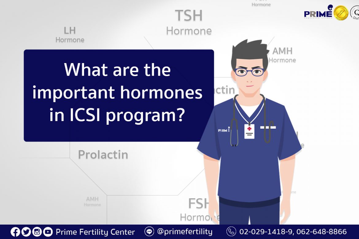 做试管婴儿的主要荷尔蒙,What are the important hormones in ICSI program,ฮอร์โมนที่สำคัญในการทำ ICSI มีอะไรบ้าง