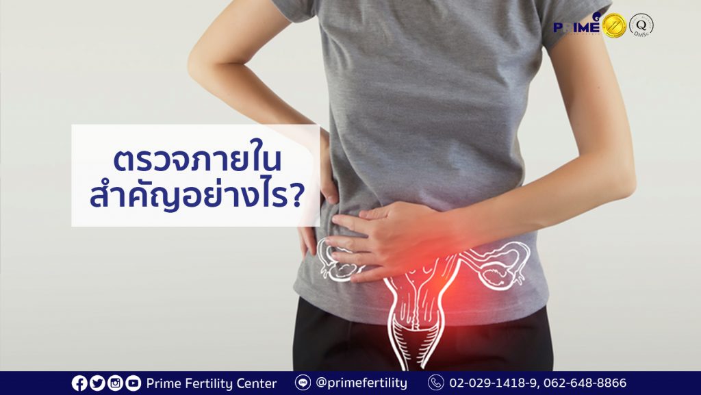 ตรวจภายใน