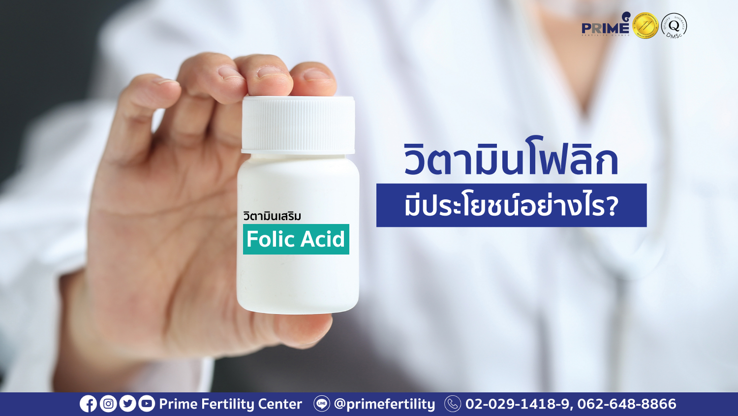 วิตามินโฟลิก web 1