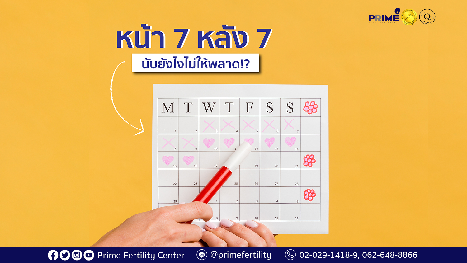 หน้า7 หลัง 7