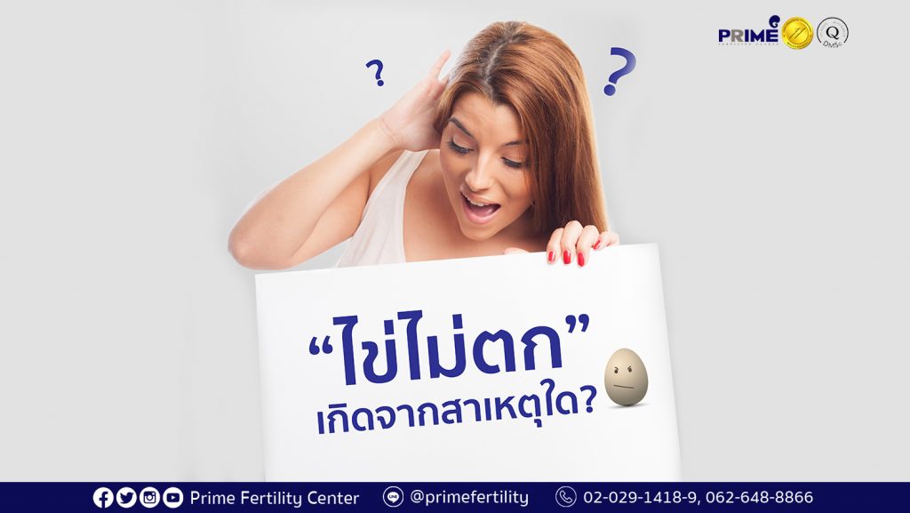 ไข่ไม่ตก web