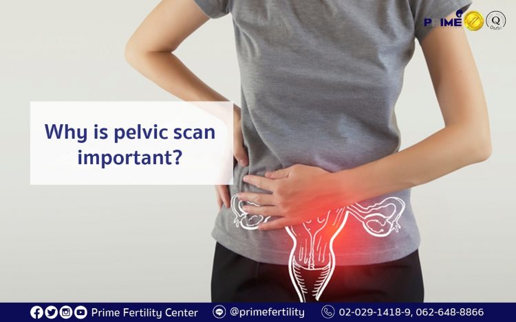 Why is pelvic scan important?