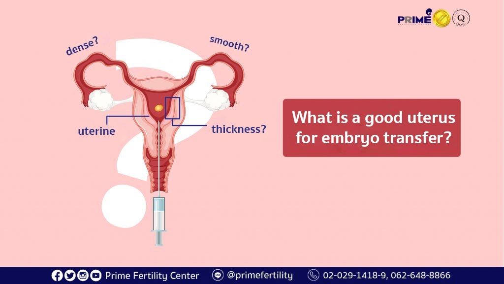 What is a good uterus for embryo transfer?