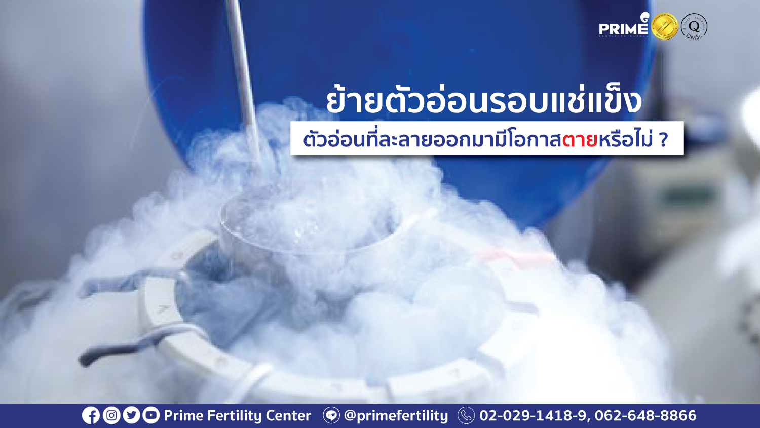 ตัวอ่อนมีโอกาสตายหรือไม่ web