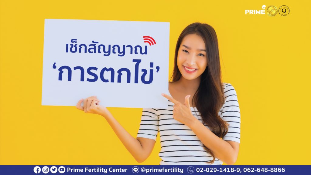 เช็กสัญญาณไข่ตก web