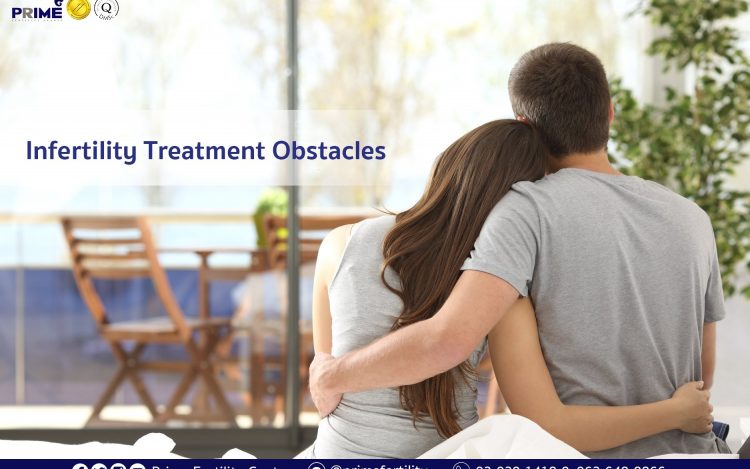 Infertility Treatment Obstacles