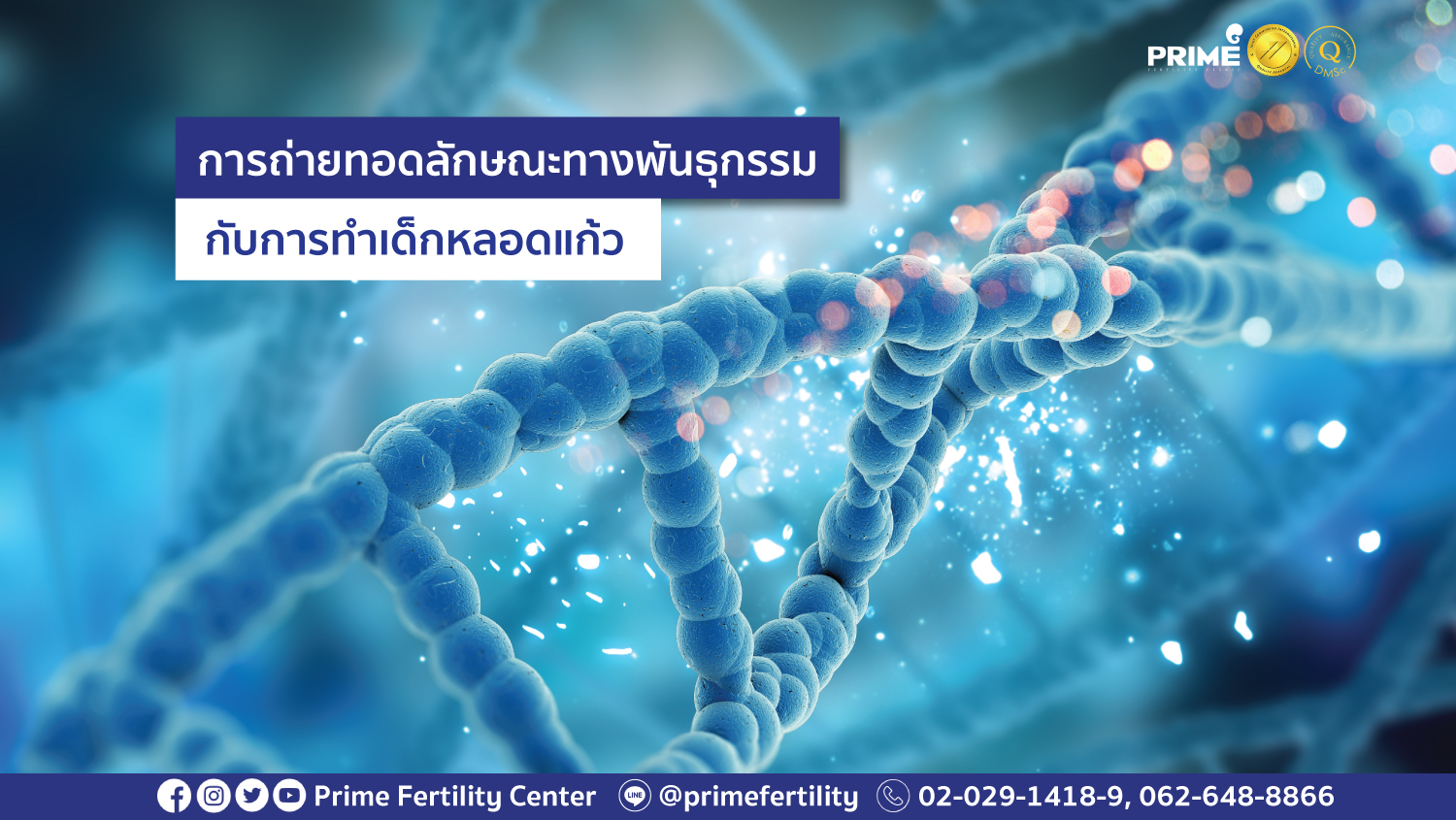 พันธุกรรมกับการทำเด็กหลอดแก้ว web