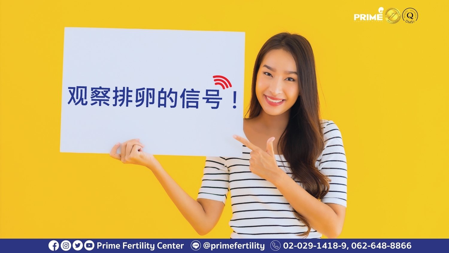 观察排卵的信号！