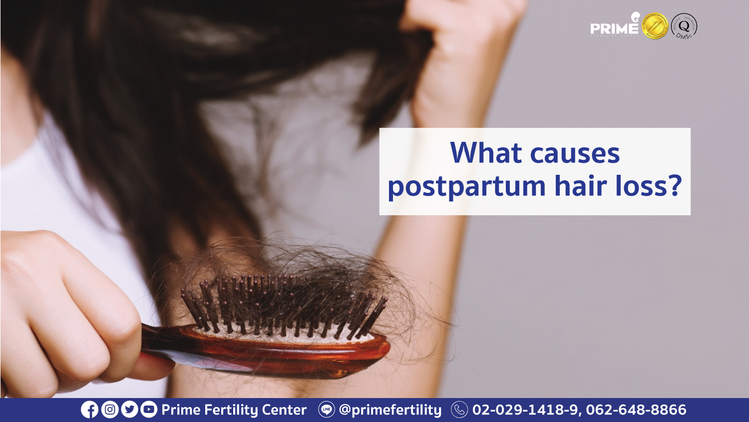 What causes postpartum hair loss? | Prime Fertility Clinic What causes postpartum hair loss? | Prime Fertility Clinic