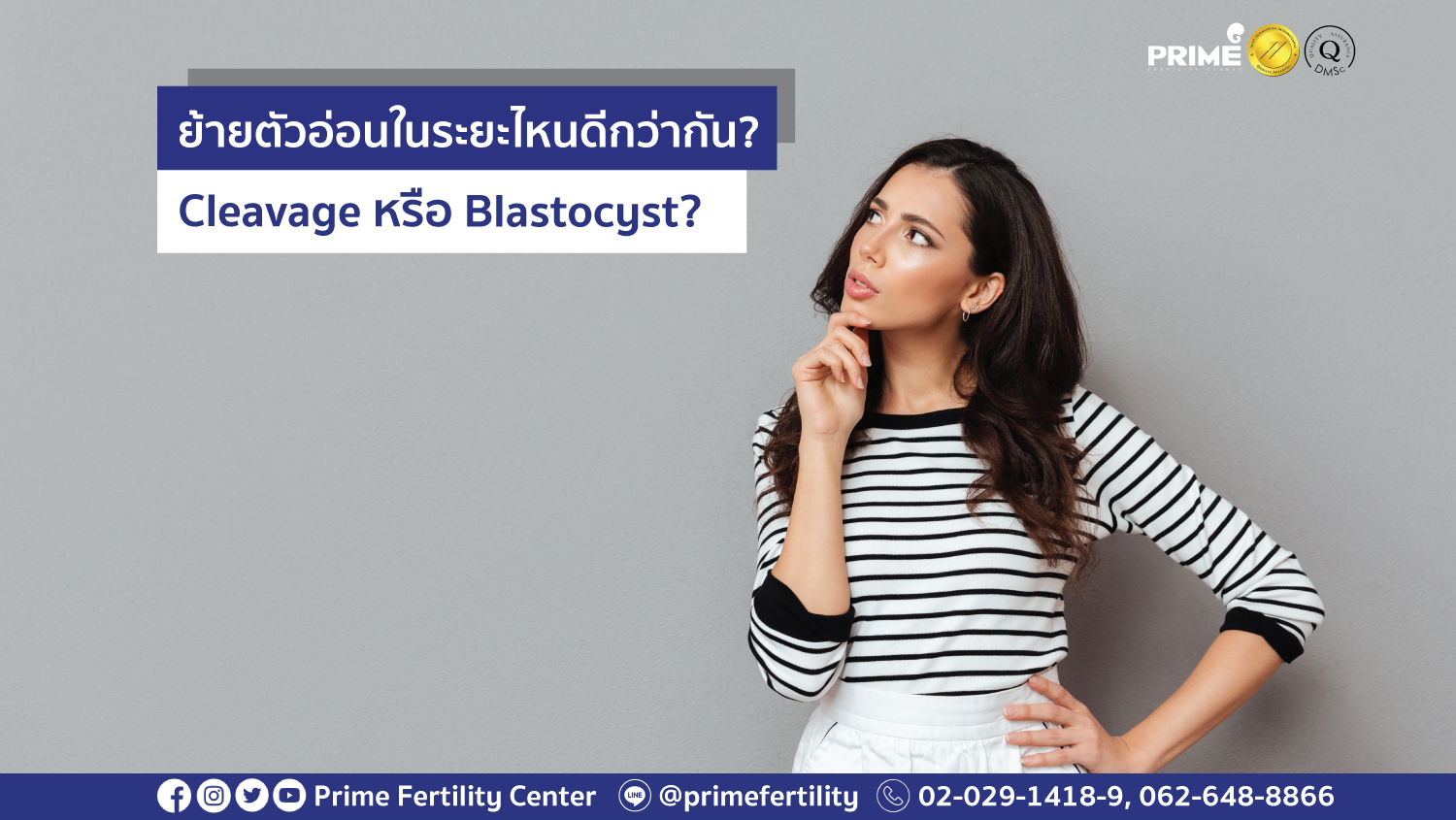 ย้ายตัวอ่อนระยะไหนดีกว่า web