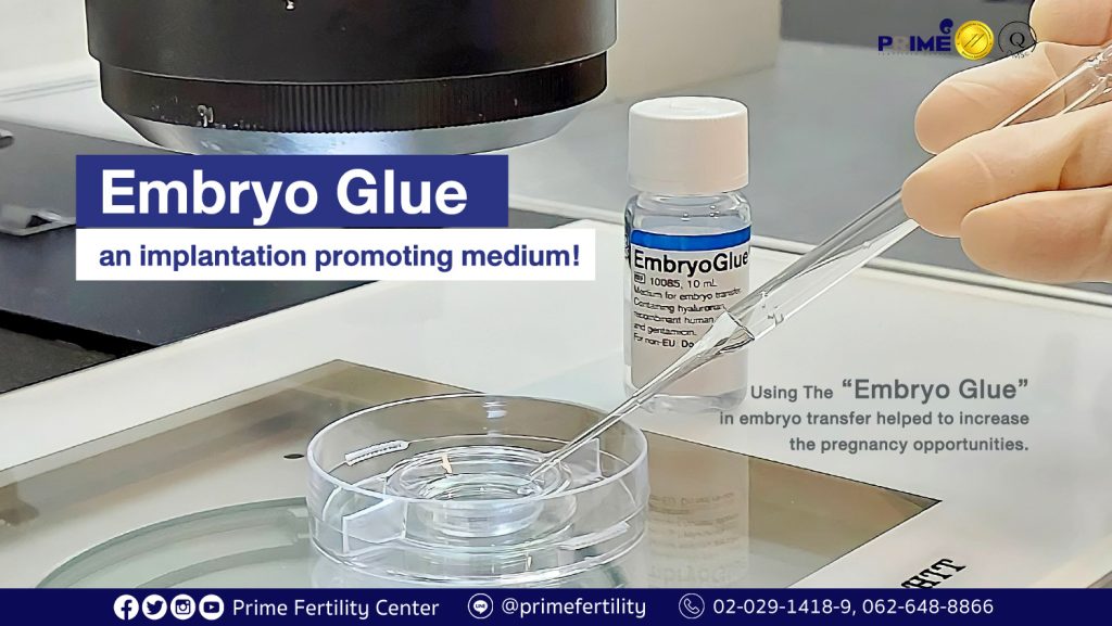 embryo glue en