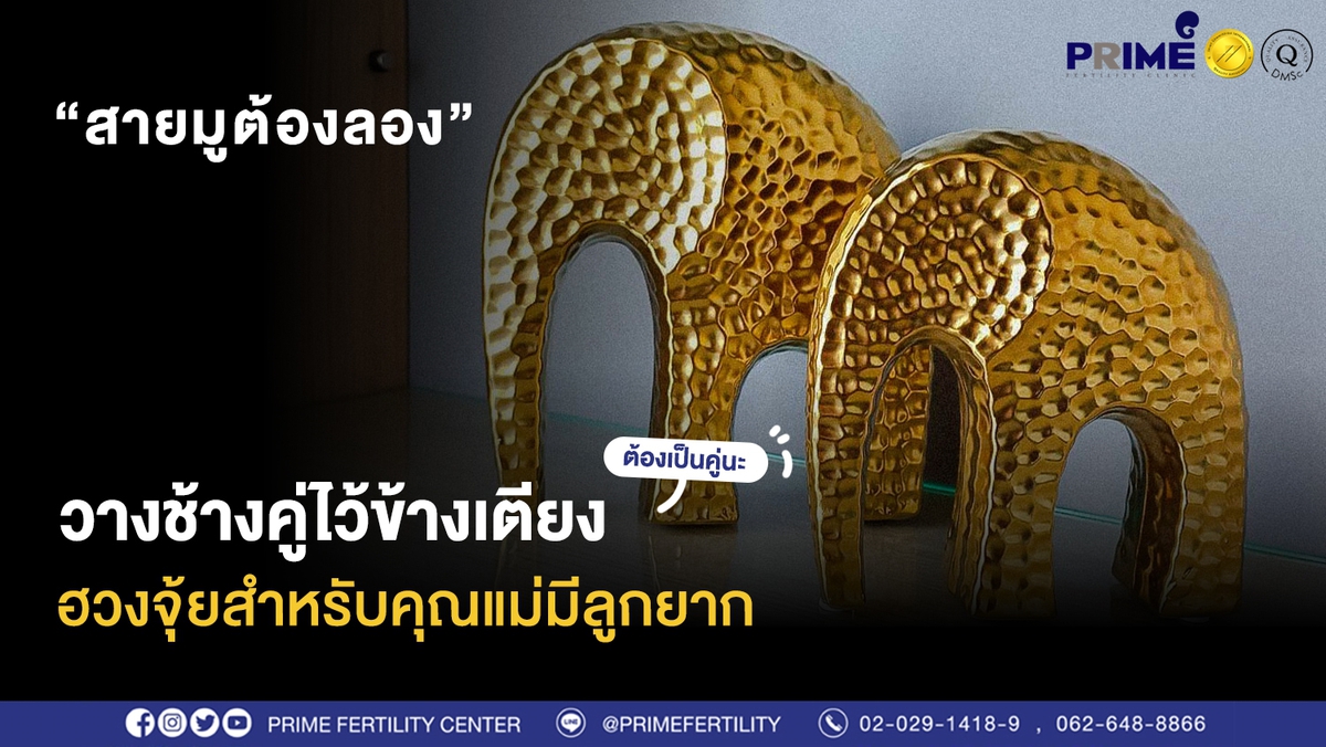 เสริมดวงด้วยช้างคู่ ขึ้นเว็บ