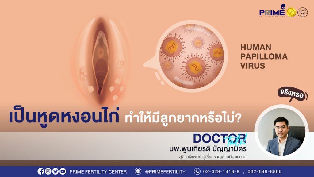 เป็นหูดหงอนไก่ ขึ้นเว็บ