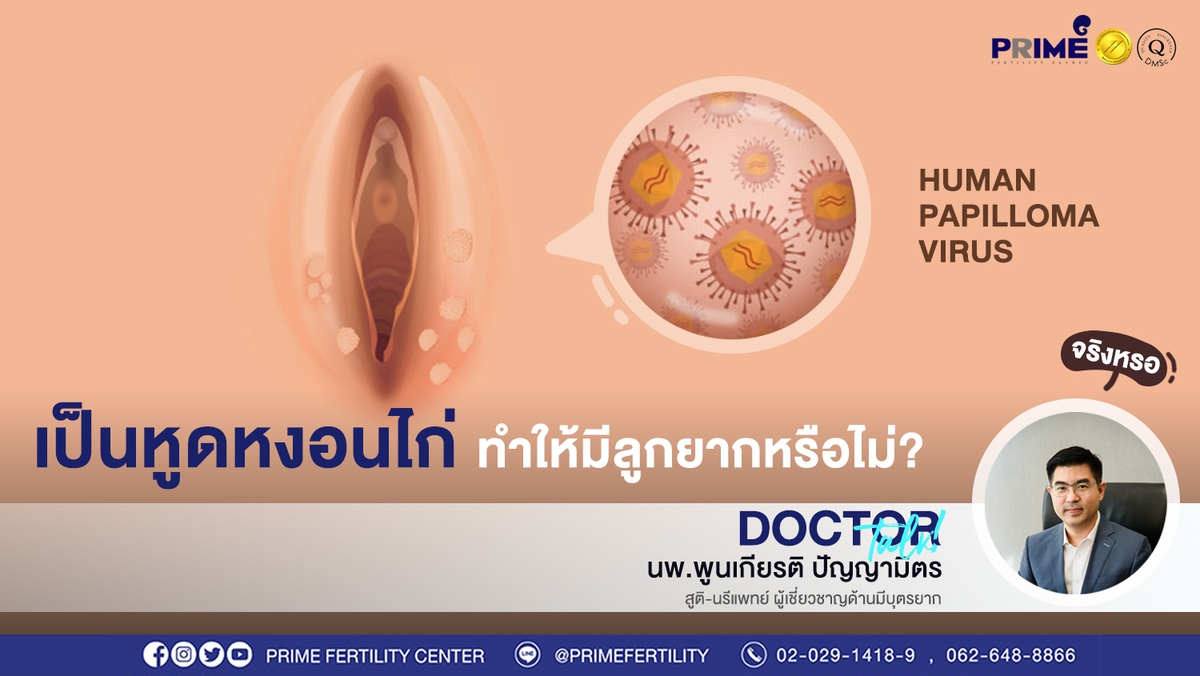 เป็นหูดหงอนไก่ ขึ้นเว็บ