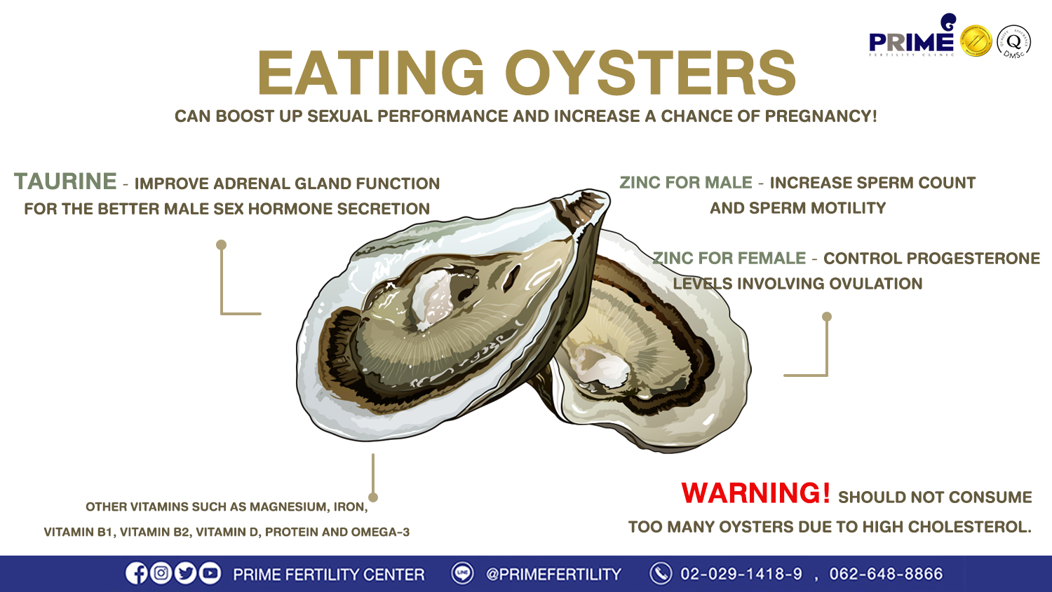 Eating oysters can boost up sexual performance and increase a chance of pregnancy!