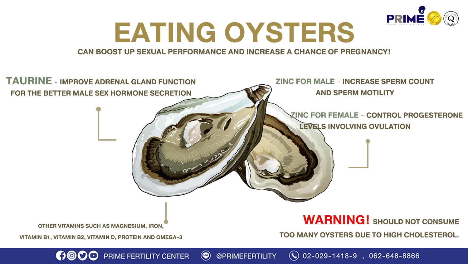 Oysters as an Aphrodisiac