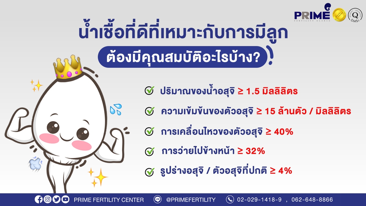 น้ำเชื้อที่ดีที่เหมาะกับการมีลูก ขึ้นเว็บ