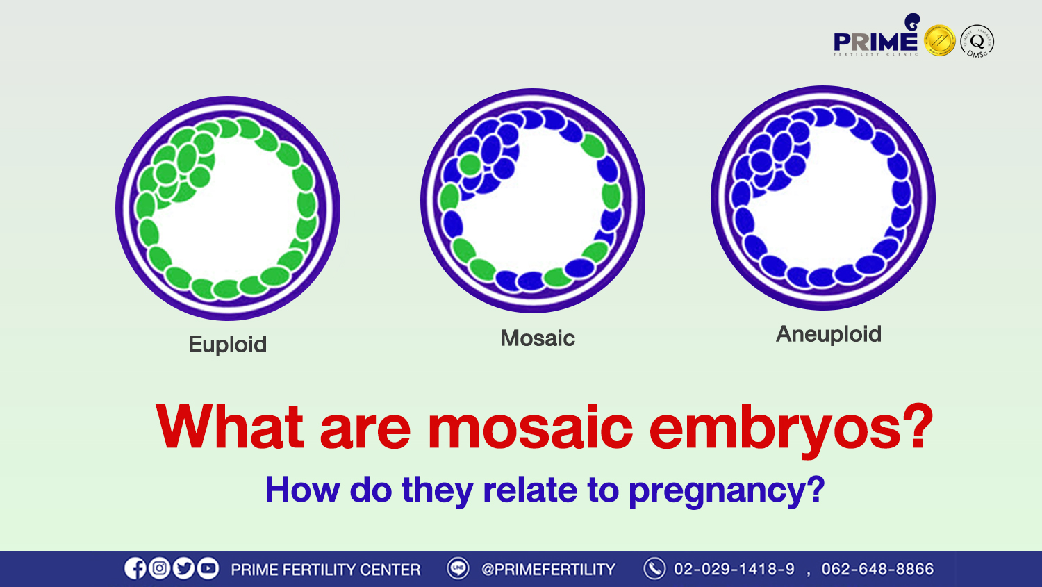 What are mosaic embryos? How do they relate to pregnancy?