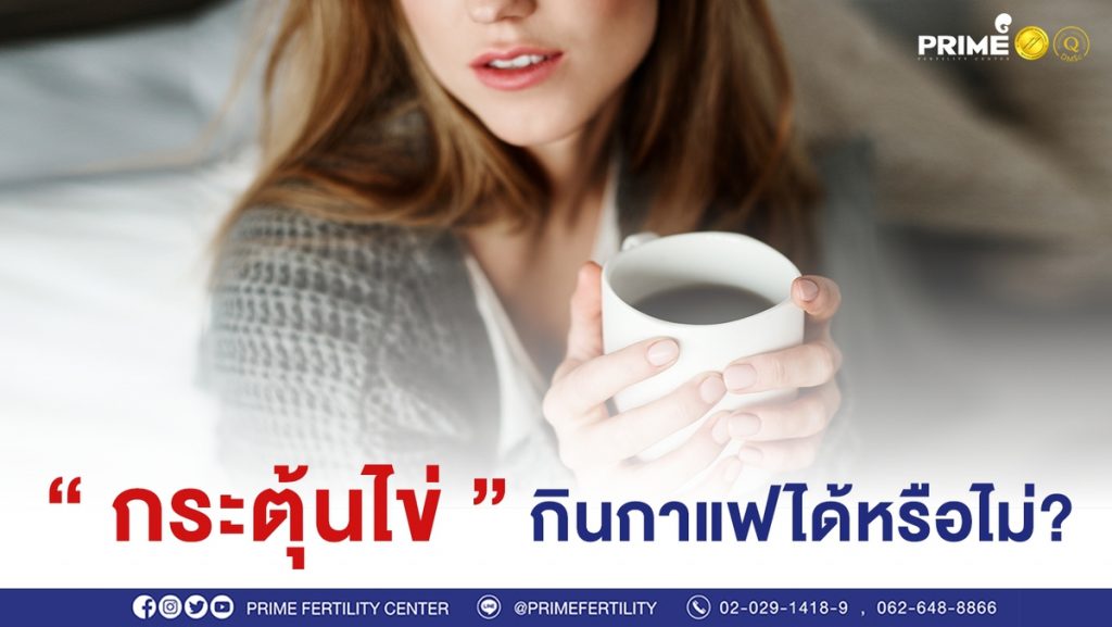 กระตุ้นไข ขึ้นเว็บ