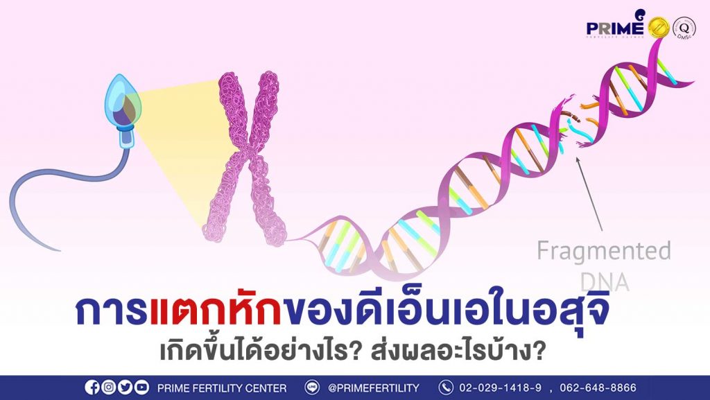การแตกหัก ขึ้นเว็บ