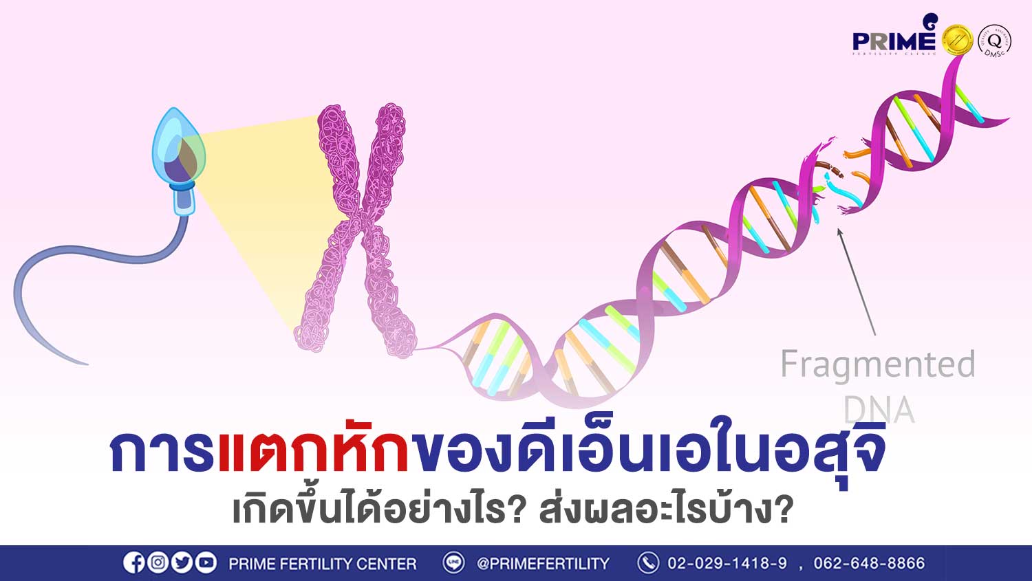 การแตกหัก ขึ้นเว็บ