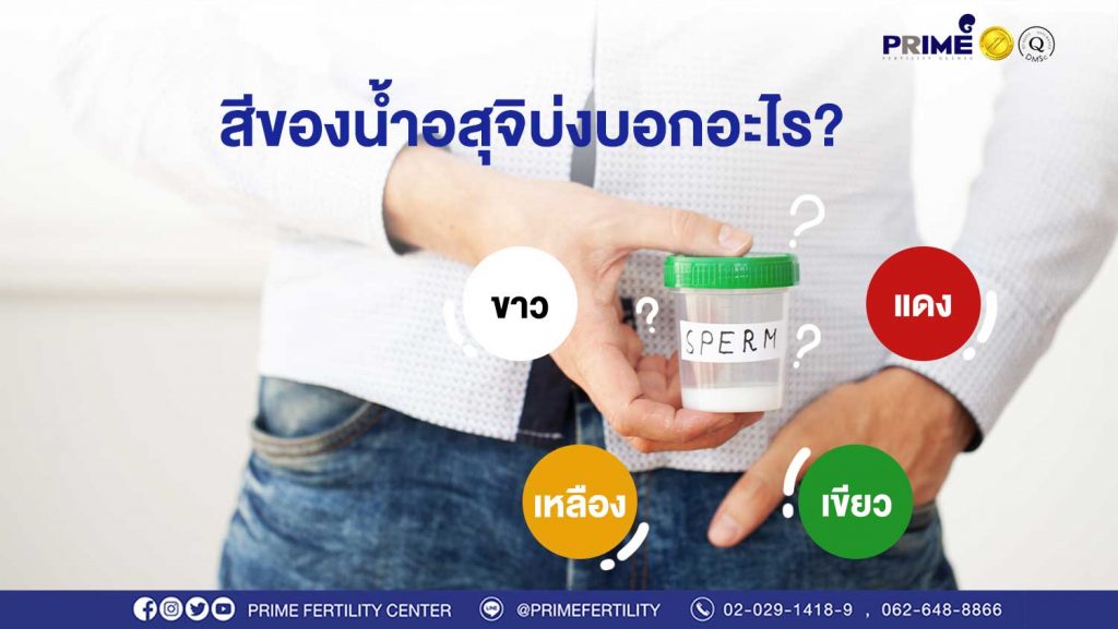 สีของน้ำอสุจิ ขึ้นเว็บ