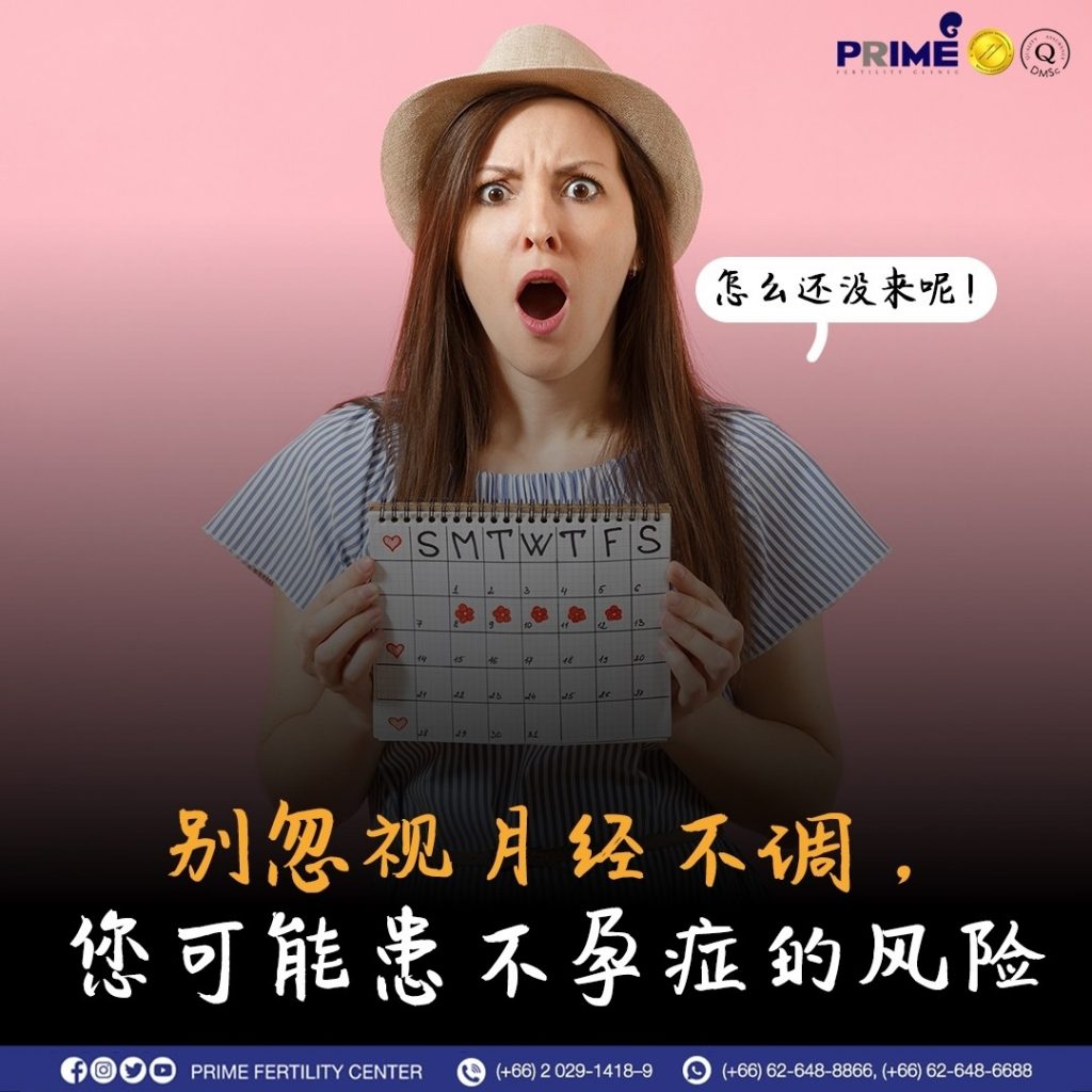 LINE ALBUM Content Prime ภาษาจีน 2 220427 15