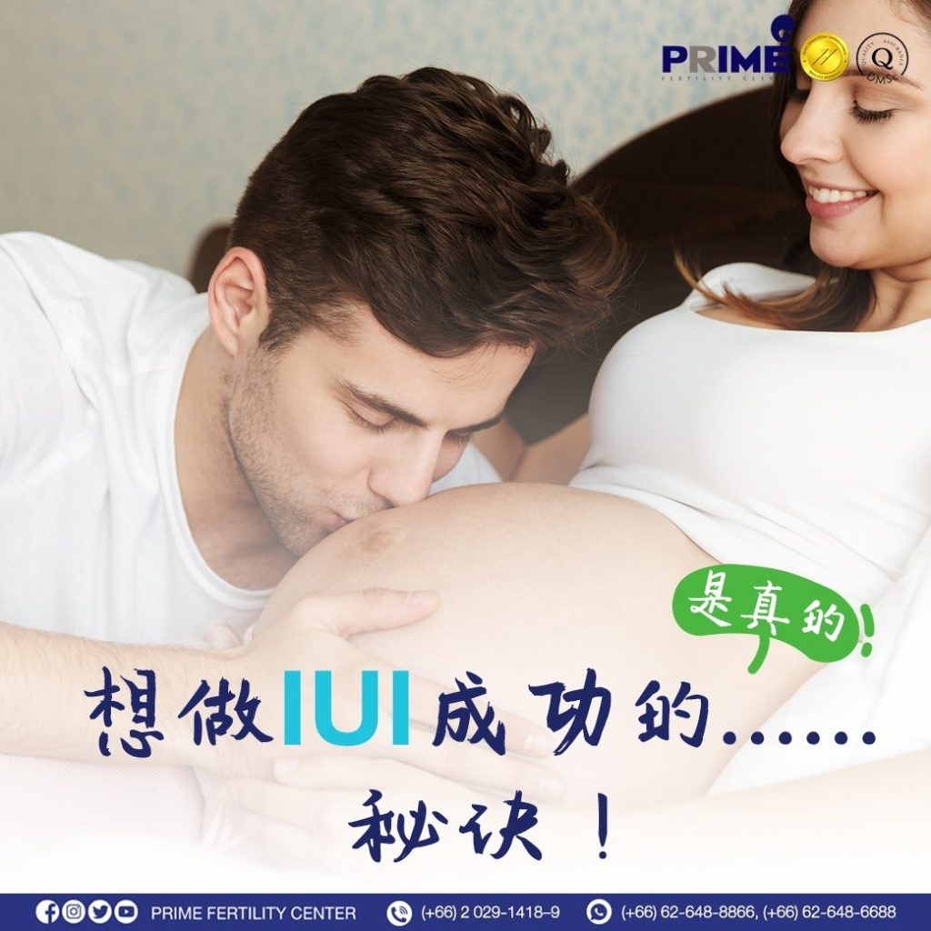 LINE ALBUM Content Prime ภาษาจีน 2 220427 5