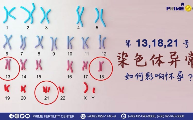 第13、18、21号染色体异常，如何影响怀孕？