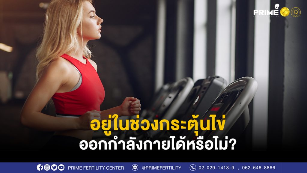 กระตุ้นไข่ออกกำลังกายได้ไหม ขึ้นเว็บ