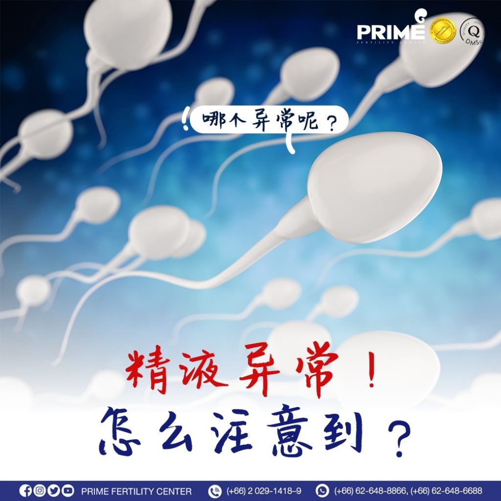 LINE ALBUM Content Prime ภาษาจีน 2 220427 24