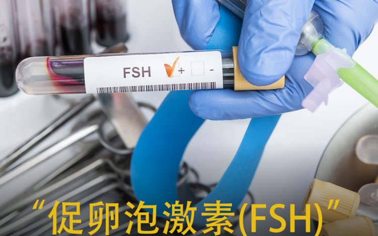 FSH激素及其在卵巢刺激中的重要性