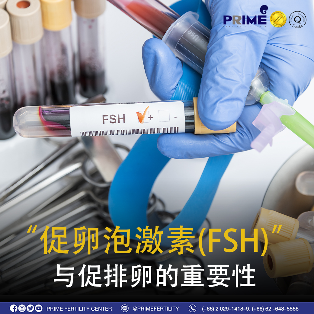 FSH激素及其在卵巢刺激中的重要性