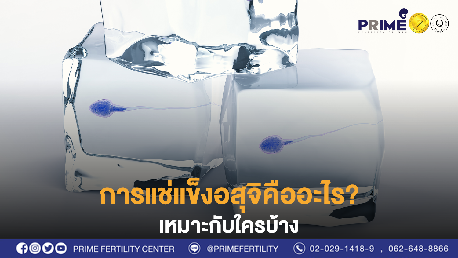 การแช่แข็งอสุจิคืออะไร เหมาะกับใคร save for web