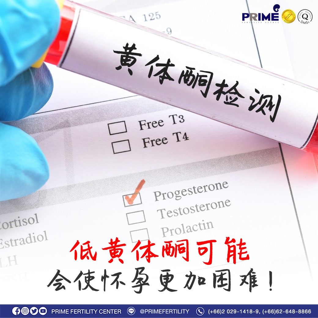 Progesterone ต่ำ