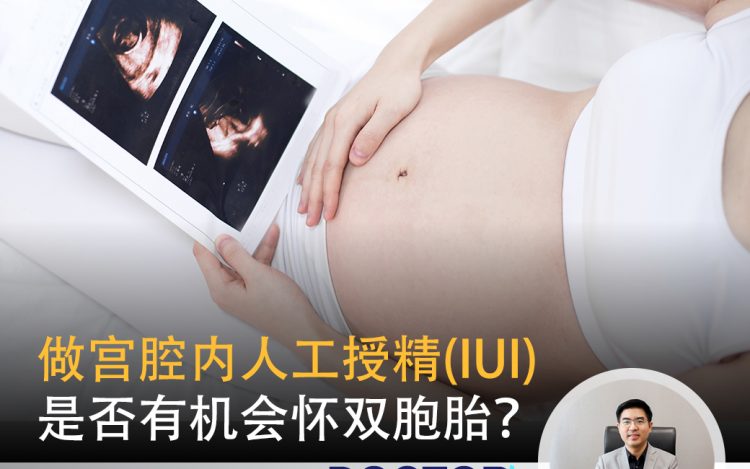 做宫腔内人工授精(IUI)是否有机会怀双胞胎？